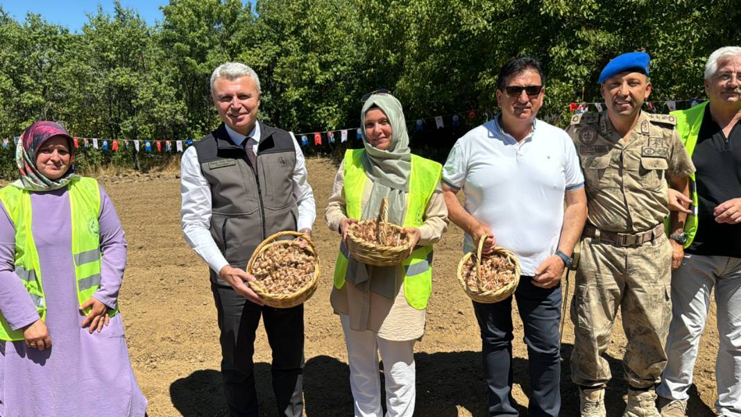 Ağustosta dikilip Ekimde toplanıyor: 80 bin çiçekten yarım kilo ürün elde ediliyor 6